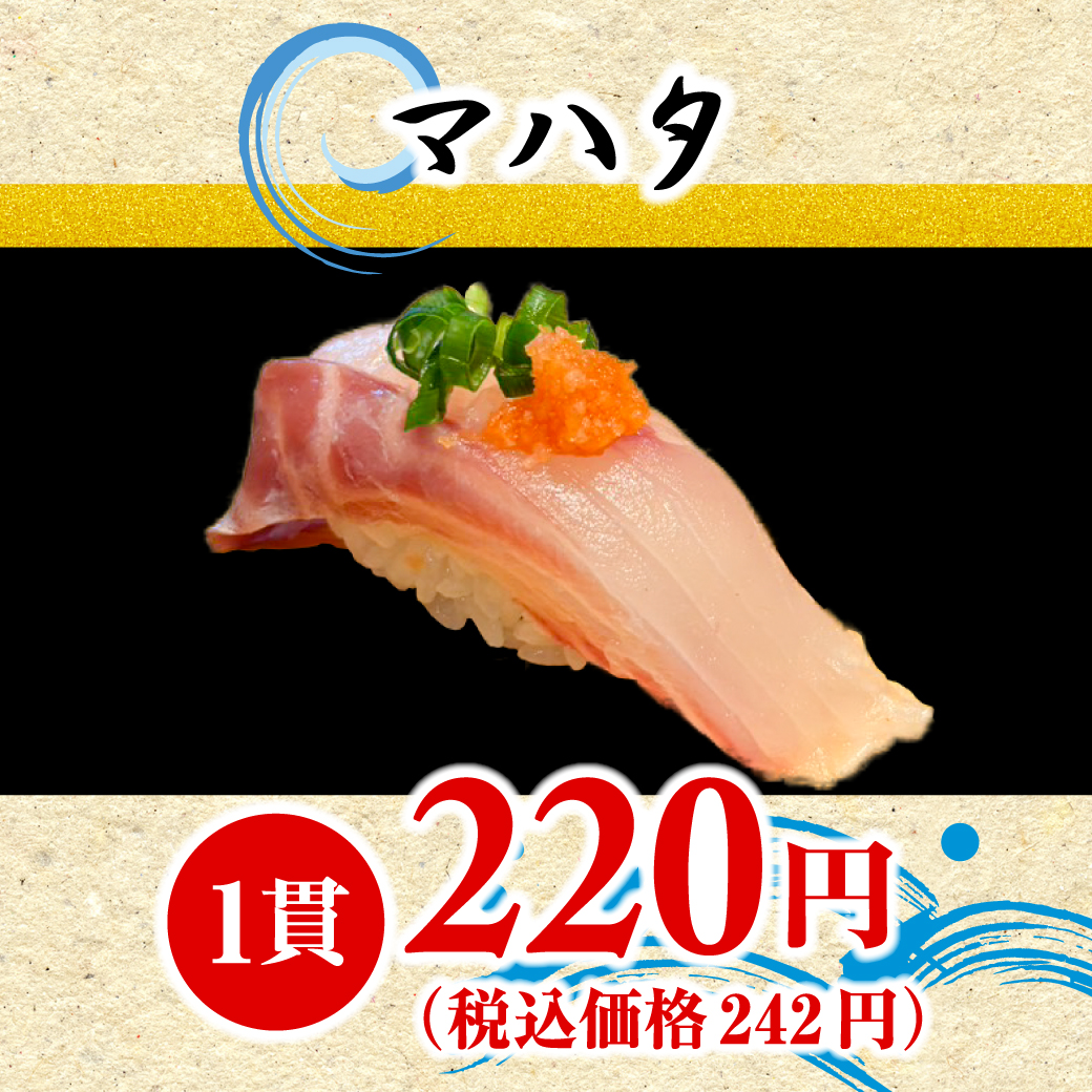マハタ（1貫）